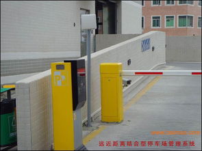 河北衡水盛宇門業(yè)制造廠批發(fā)供應車庫門,鐵藝門,工業(yè)門,防盜門