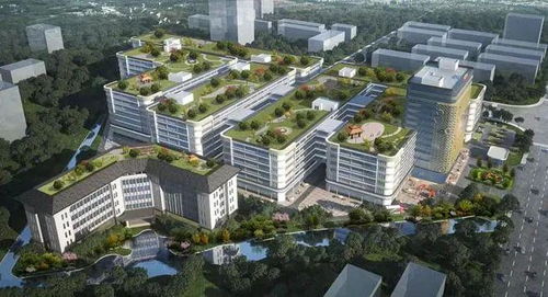 江門迎來企業投資熱潮，實業興城正當時